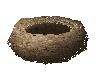 Empty Chicken Nest