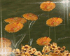 Flower 2