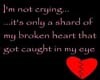 Brokenheart11