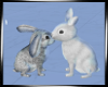 ! snow hare pose
