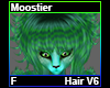 Moostier Hair F V6
