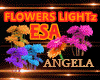 Flowers Lightz    ESA