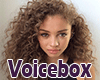 vb. Female VoiceBox