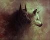 [L] Black & White Wolves