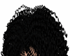 black curly hair