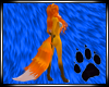 Tail Fox Female