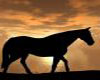 (Mx)picture Dark horse