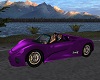 Purple Spyder