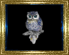 LD~  Owl Picture