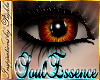 I~Soul Essence*Phoenix