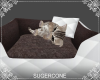 [SC] Cat Bed ~ White