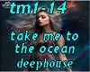 tm1-14 deephouse