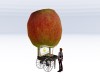 Apple Cart