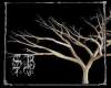 sb faery tree of spirit