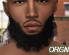 6ix9ine beard(no glitch)