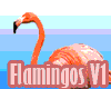 Flamingos V1