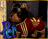 I~Yorkie*Sport*Red&G.Pet