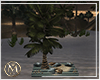 ℳ▸Vip Palm Light