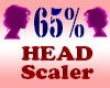 Resizer 65% Head