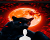 Red Moon panther bg