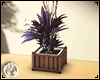 Derivable Plants Layer