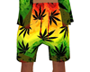 *Rasta Shorts*