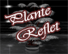 Plante Reflet