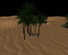 *Arabian* Palm Tree