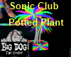 [BD] SC Potted Plant