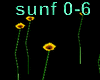 DJ Sunflowers