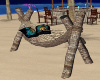 ~TQ~beach hammock