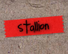 stallion