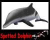 spotted dolphin for F
