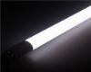 Neon White Light