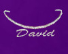 Gold David Necklace