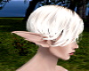 Animated Male Elf Ears