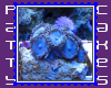 ocean blue biggie stamp