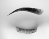Egyptian Eyebrow