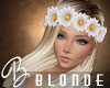 *B* Blonde/Alaricia
