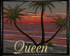 !Q Beach Palmtrees