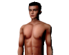 ♛ Pro Skin X6