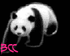 [BCC]Cute Panda