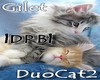 |DRB| Gilet Duo Cat2