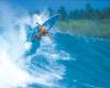 (RB71)-Surf Aussie Style