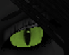 [DJ]Cat Eyes Green F