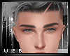 |W| Silver Dane