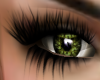 Midnight Grass Green Eye