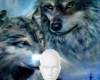 Wolf pack background