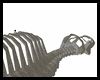 dinosaur bones
