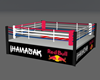 fighting ring iHamasak